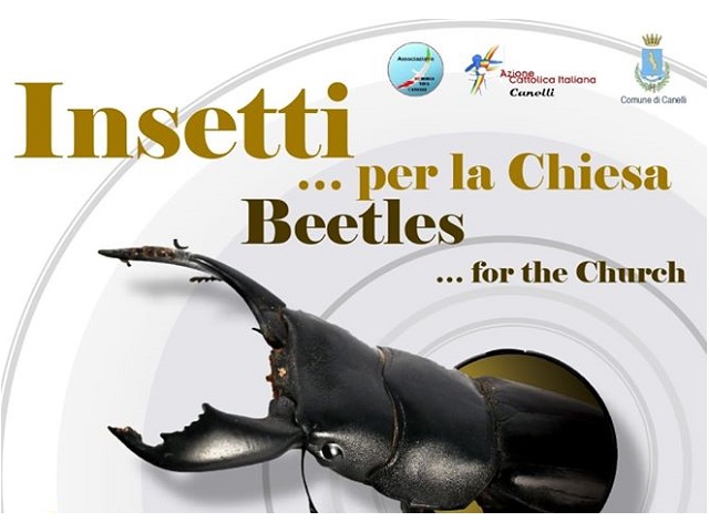Canelli | Mostra "Insetti… per la Chiesa (Beetles… for the Church)" + Mostra "I Tesori di Canelli: immagini delle passeggiate artistiche di Memoria Viva"